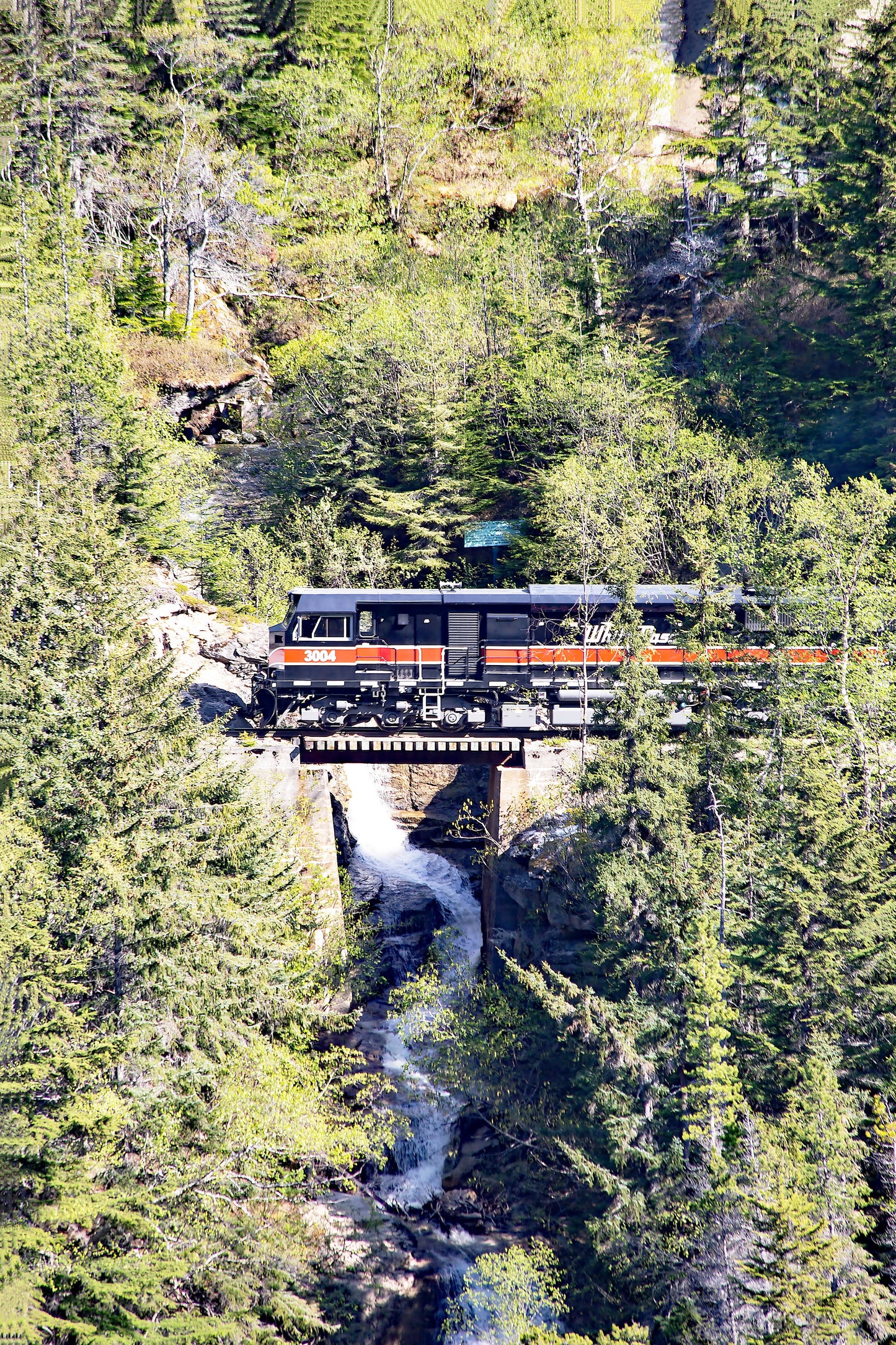 Crossing the Wild: Train Over Waterfall