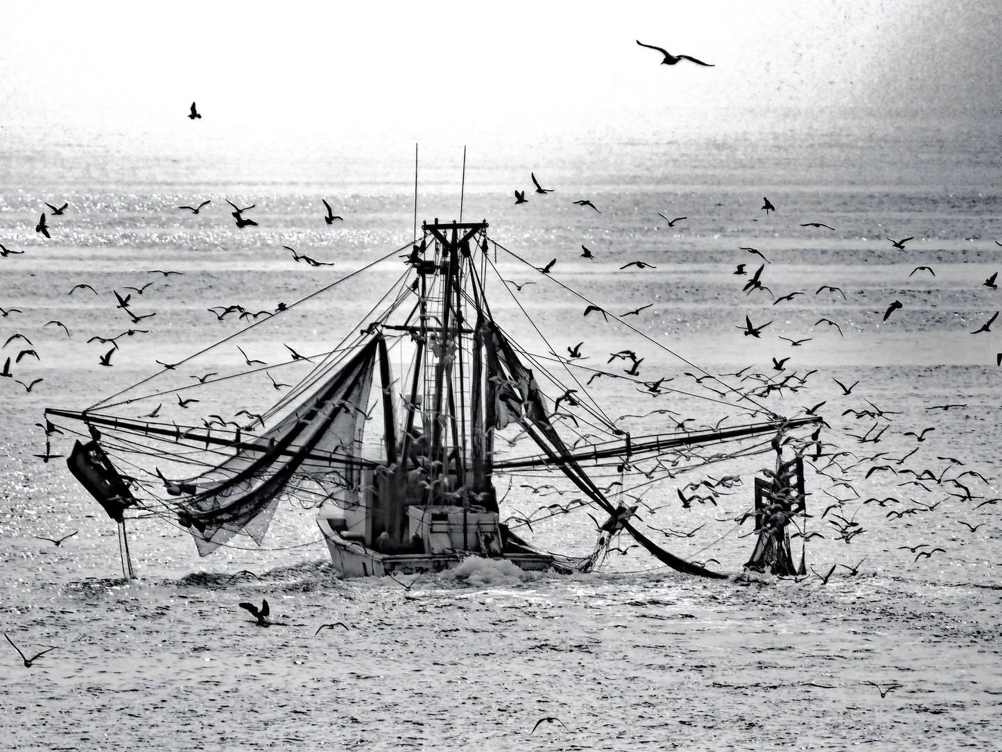 Shrimp Trawler in Monochrome