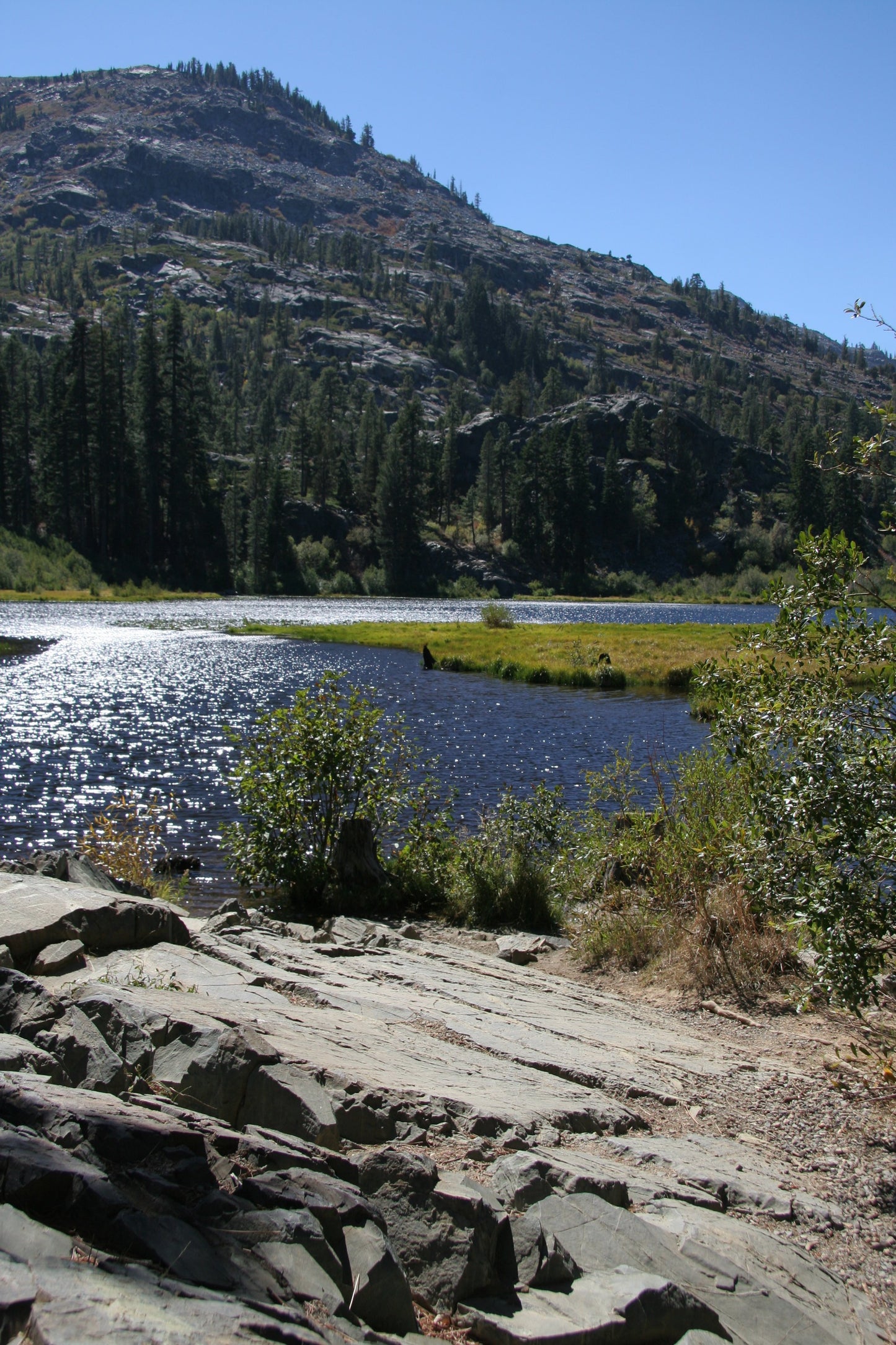 Alpine Reflections: A Tranquil Lake Tahoe Escape